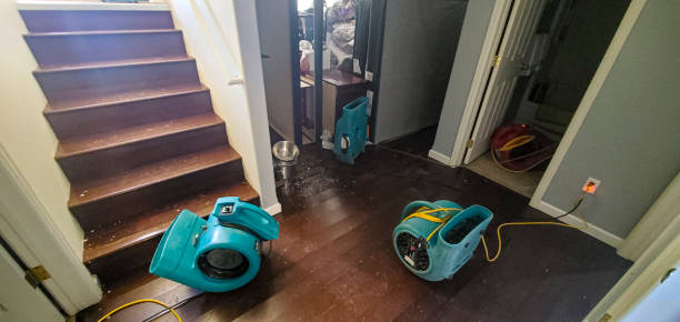 Best Carpet water damage restoration  in Una, WA
