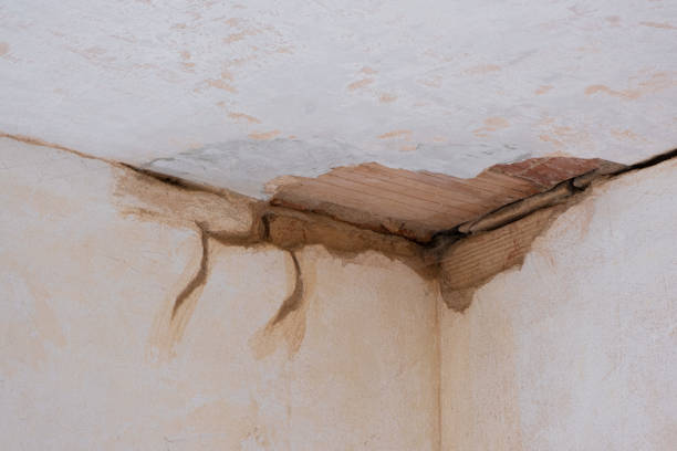 Best Water damage restoration services  in Una, WA
