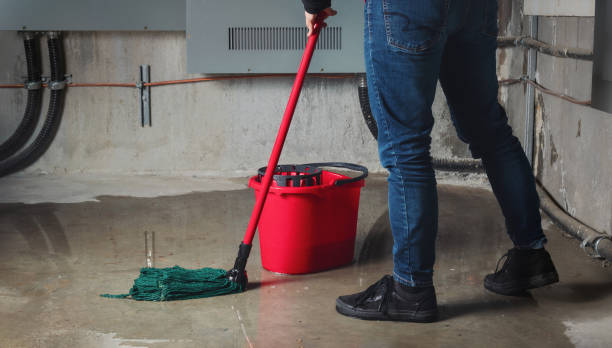 Best Residential water damage restoration  in Una, WA