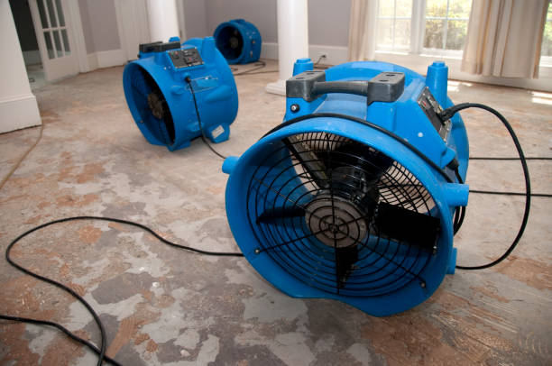 Best Flood damage cleanup  in Una, WA