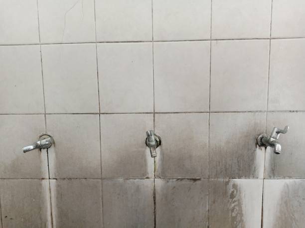 Best Basement water damage restoration  in Una, WA