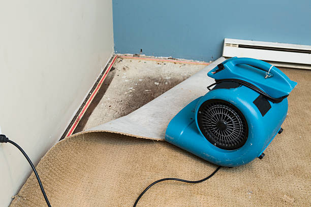 Reliable Wauna, WA Water damage restoration Solutions